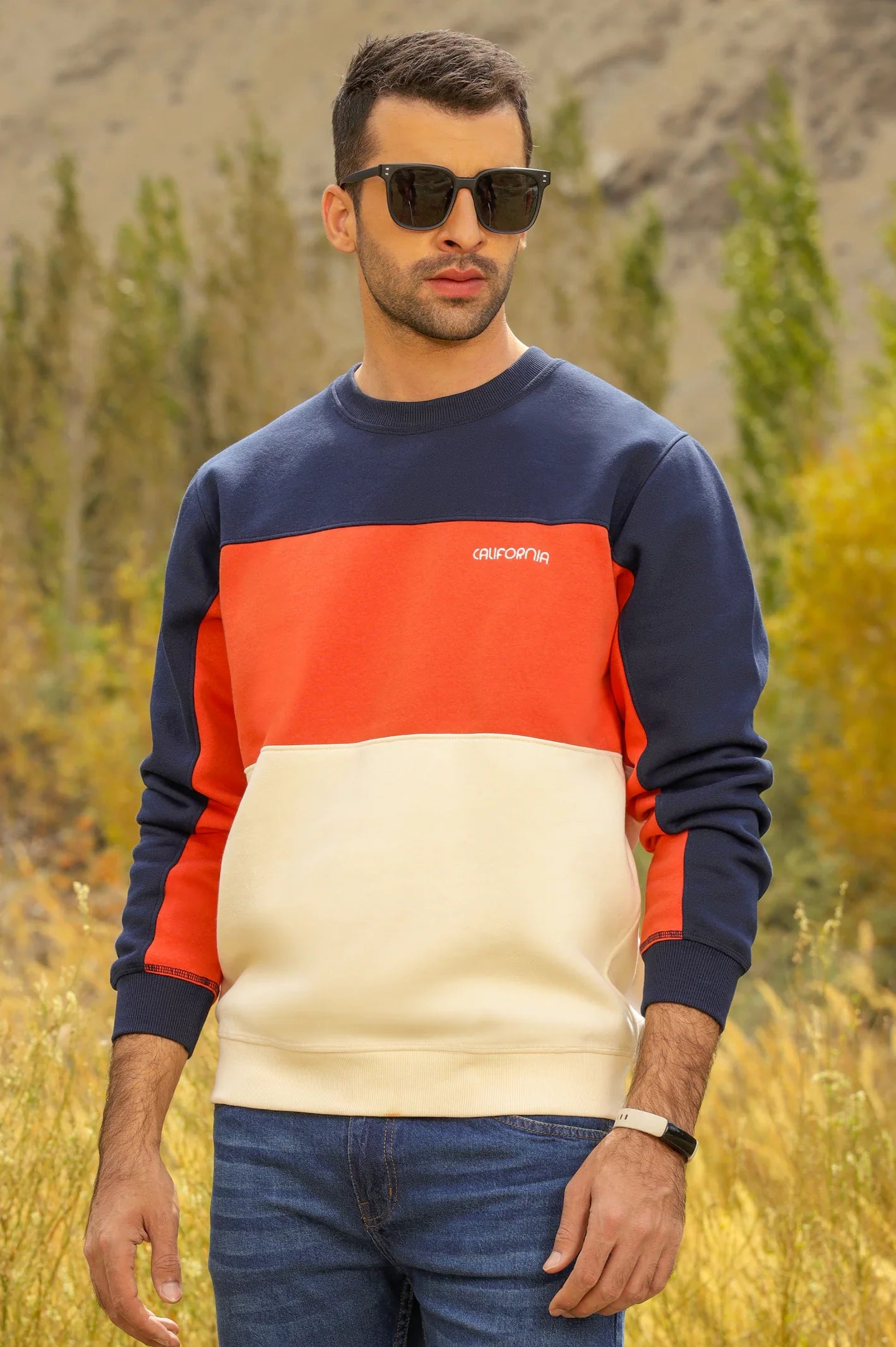 Color Block Sweatshirt From Diners